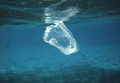 It’s Time To Introduce a Plastic Tax